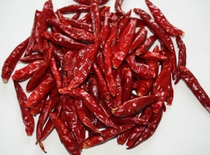 chilli3_big